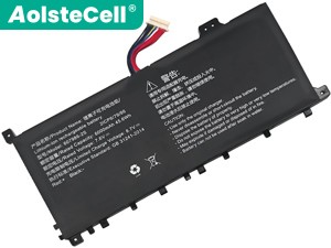 AolsteCell 607986-2S replacement battery