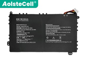 AXIOO PN1308P replacement battery