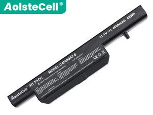 Clevo W251 replacement battery