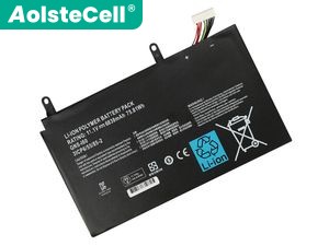 Gigabyte P57W v6 replacement battery