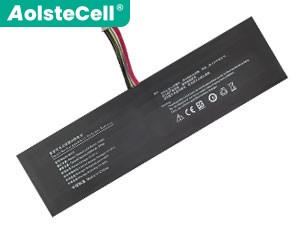 iru R3 replacement battery
