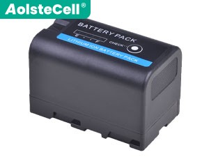 Sony BP-U30 replacement battery