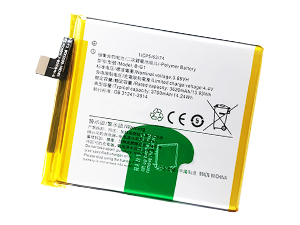Vivo B-G1 replacement battery