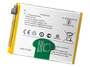 Vivo B-G2 replacement battery