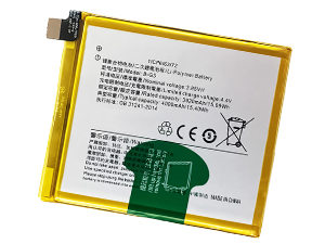 Vivo B-G3 replacement battery